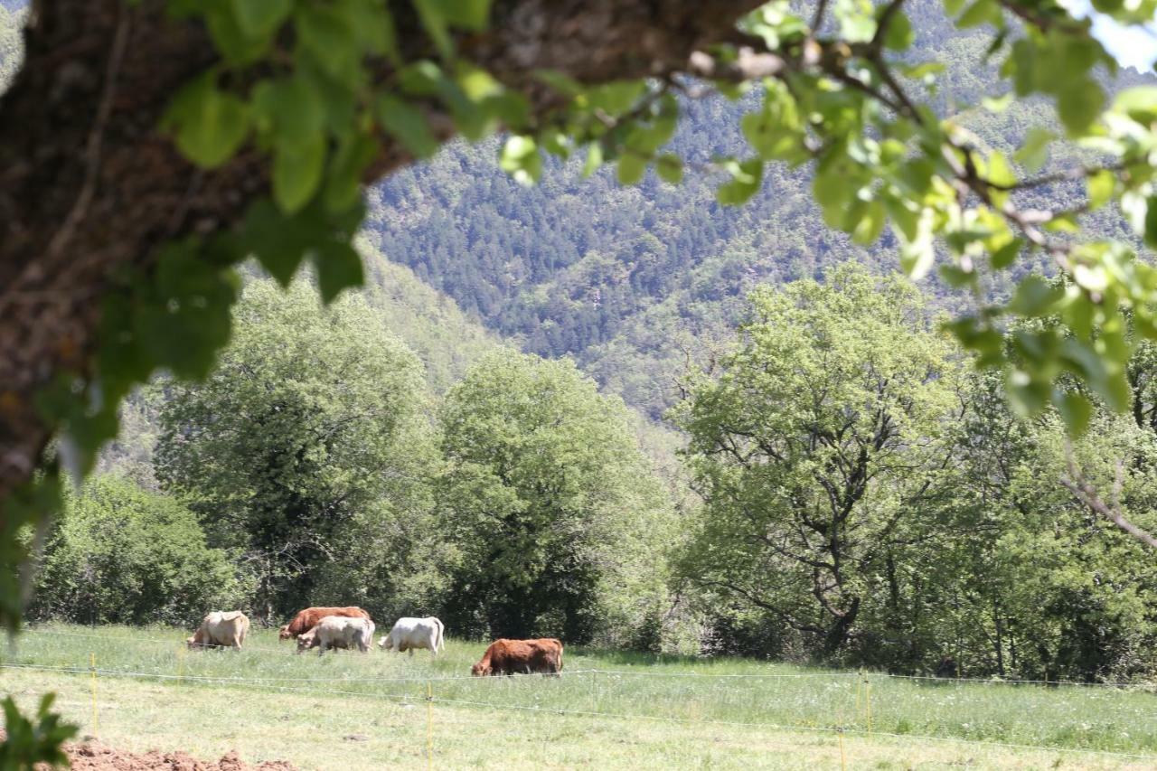 Casa Santafe Vendégház San Juste Kültér fotó